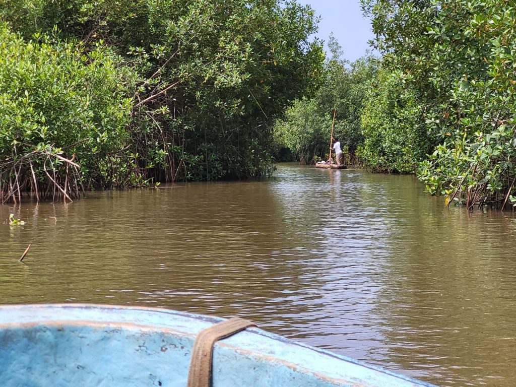 Discovery tour of Benin