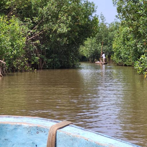Discovery tour of Benin