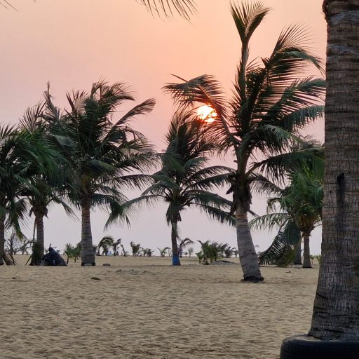 Discovery tour of Benin
