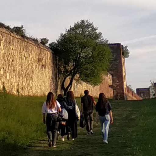 Visite guidée à pied sur les collines de Vérone