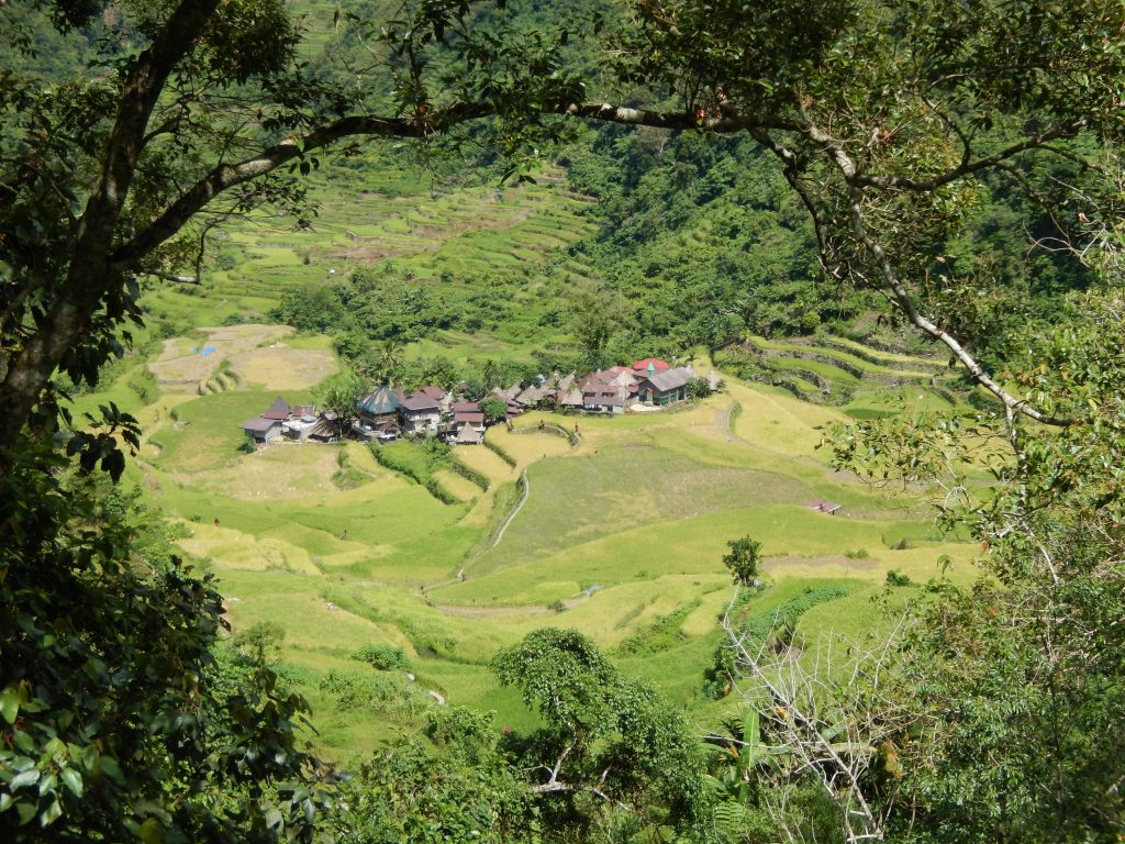 Philippine Cordillera: Immersion in the heart of ancient rice paddies