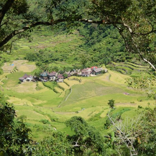 Philippine Cordillera: Immersion in the heart of ancient rice paddies