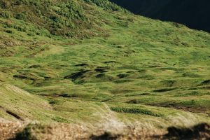 Vallée verdoyante dans un paysage de nature sauvage