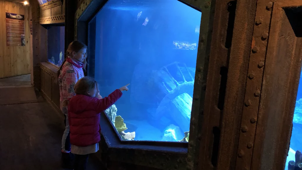 l'Aquarium d'Amnéville