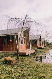 Les cabines sont construites en bois et un saule se trouve juste devant