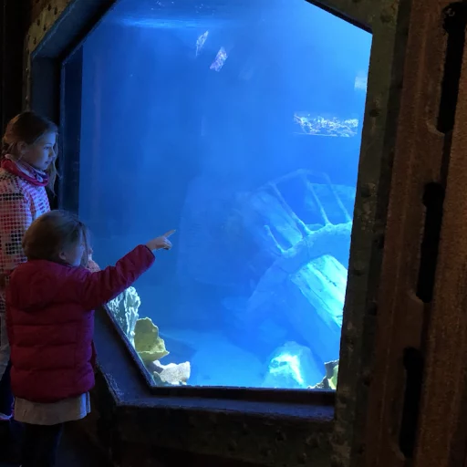 l'Aquarium d'Amnéville