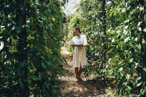 Une femme récoltant des grains de poivre