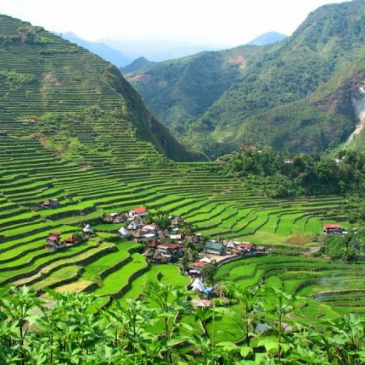 la Cordillère et des rizières millénaires